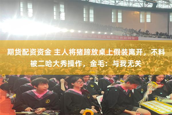 期货配资资金 主人将猪蹄放桌上假装离开，不料被二哈大秀操作，金毛：与我无关