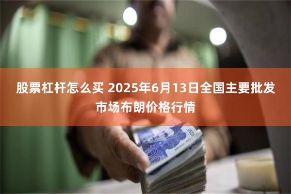 股票杠杆怎么买 2025年6月13日全国主要批发市场布朗价格行情