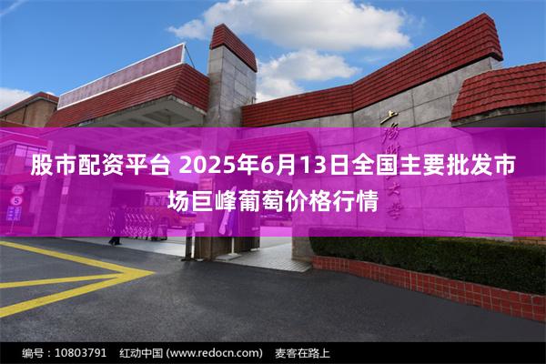 股市配资平台 2025年6月13日全国主要批发市场巨峰葡萄价格行情