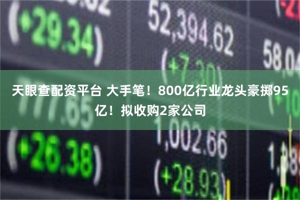 天眼查配资平台 大手笔！800亿行业龙头豪掷95亿！拟收购2家公司