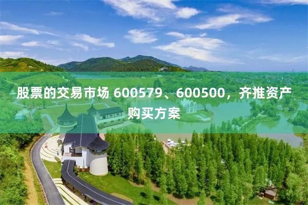 股票的交易市场 600579、600500，齐推资产购买方案