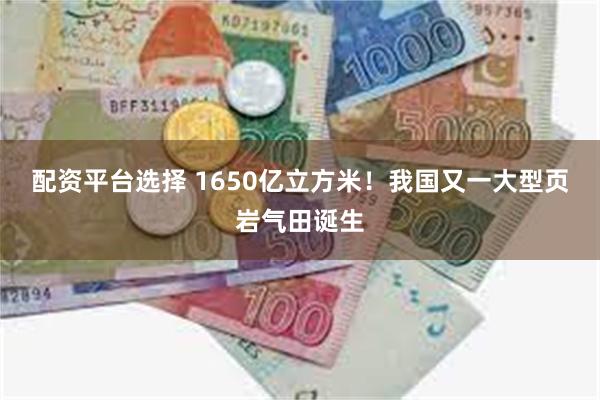 配资平台选择 1650亿立方米！我国又一大型页岩气田诞生
