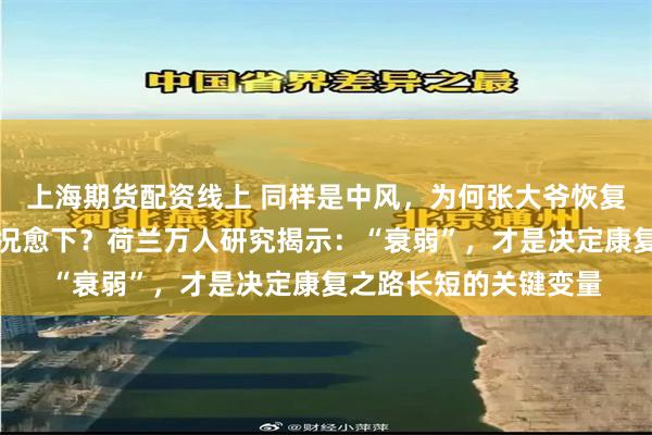 上海期货配资线上 同样是中风，为何张大爷恢复得不错，李大爷却每况愈下？荷兰万人研究揭示：“衰弱”，才是决定康复之路长短的关键变量